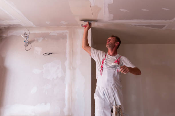 Best Fire-Damaged Drywall Repair  in Lake Hallie, WI